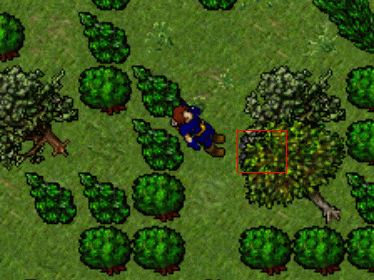 http://images.tibia.pl/quest/bs_23.gif