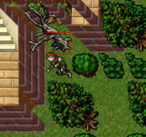 http://images.tibia.pl/quest/bs_3.gif