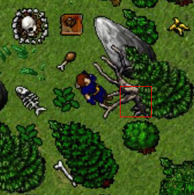 http://images.tibia.pl/quest/bs_4.gif