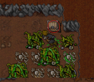 http://images.tibia.pl/quest/lifering_11.gif